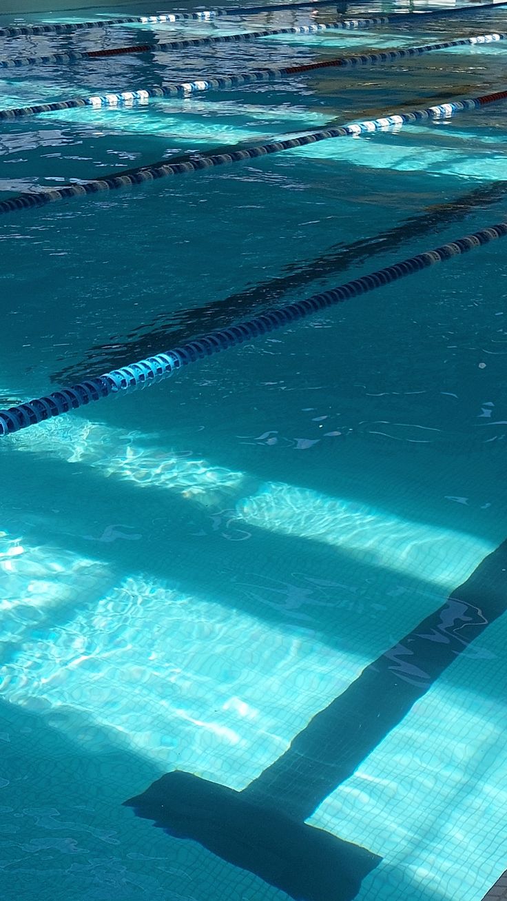 Lengths Between Lectures: Notes from the Goldfish&nbsp;Bowl